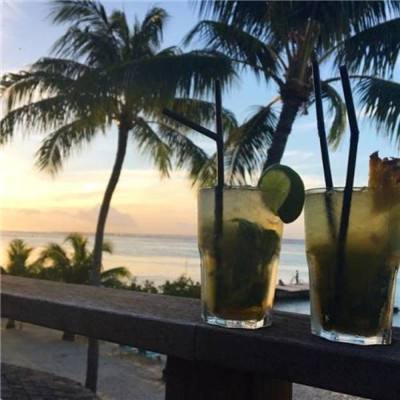 365平台下载手机app下载截图